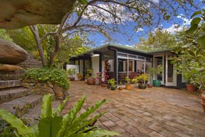 Click here for more photos